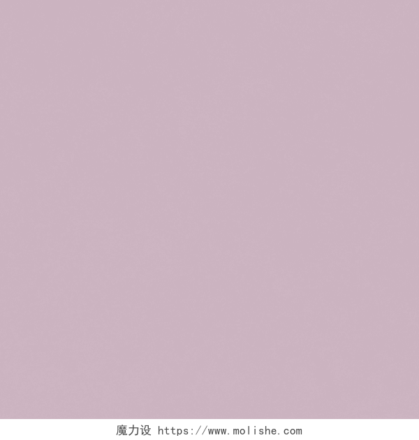 淡紫色纯色背景壁纸